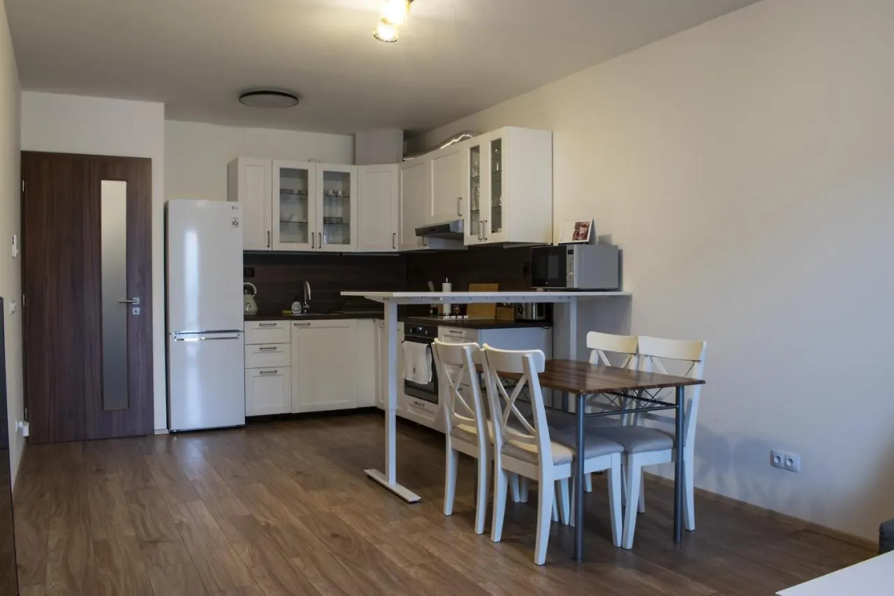 Apartmán Central Prague Vitkov - Free Parking